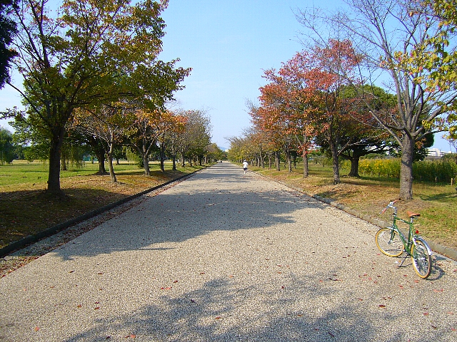 ??if?ゃ?＜?若?吾???泣?????ゃ?????с???障????