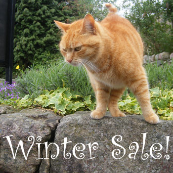 ??if?ゃ?＜?若?吾???泣?????ゃ?????с???障????