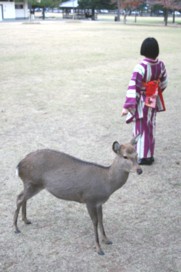 ??if?ゃ?<?若?吾???泣?????ゃ?????с???障???? ??if?ゃ?<?若?吾???泣?????ゃ?????с???障????