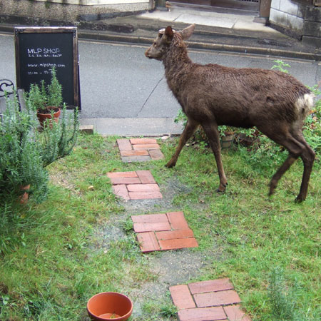 ??if?ゃ?＜?若?吾???泣?????ゃ?????с???障????