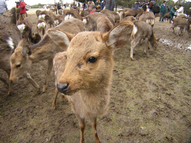 ??if?ゃ?＜?若?吾???泣?????ゃ?????с???障????