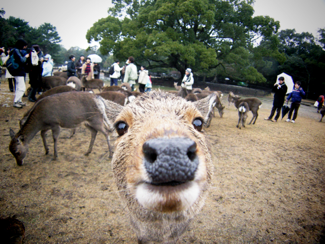 ??if?ゃ?＜?若?吾???泣?????ゃ?????с???障????