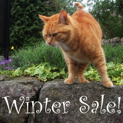 ??if?ゃ?＜?若?吾???泣?????ゃ?????с???障????