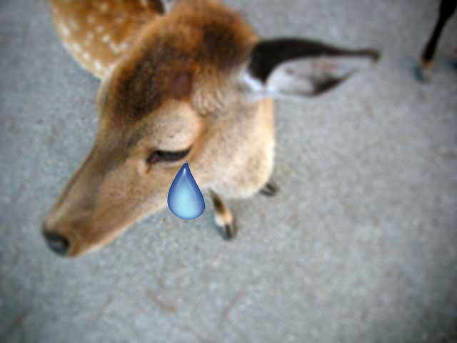 ??if?ゃ?＜?若?吾???泣?????ゃ?????с???障????