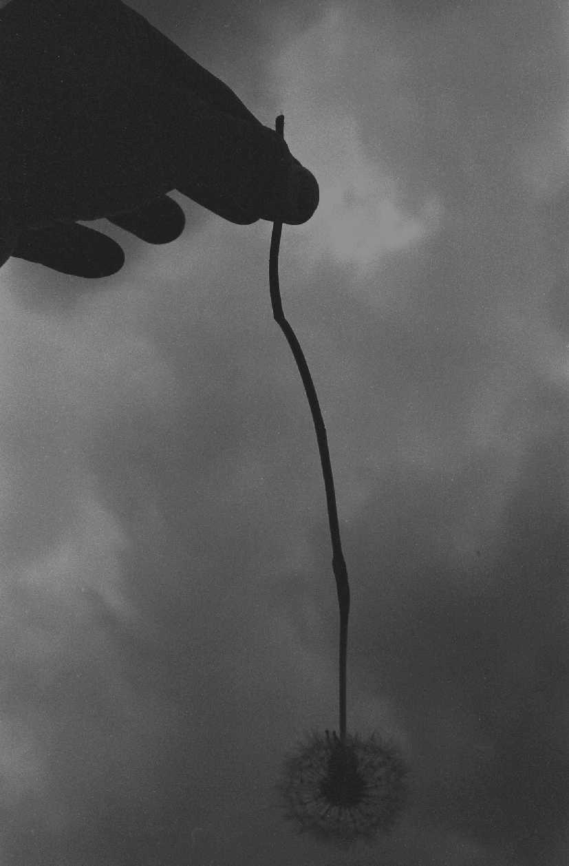 ??if?ゃ?＜?若?吾???泣?????ゃ?????с???障????