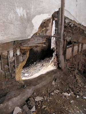 ??if?ゃ?＜?若?吾???泣?????ゃ?????с???障????