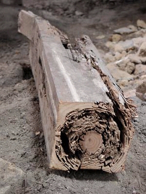 ??if?ゃ?＜?若?吾???泣?????ゃ?????с???障????