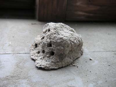 ??if?ゃ?＜?若?吾???泣?????ゃ?????с???障????