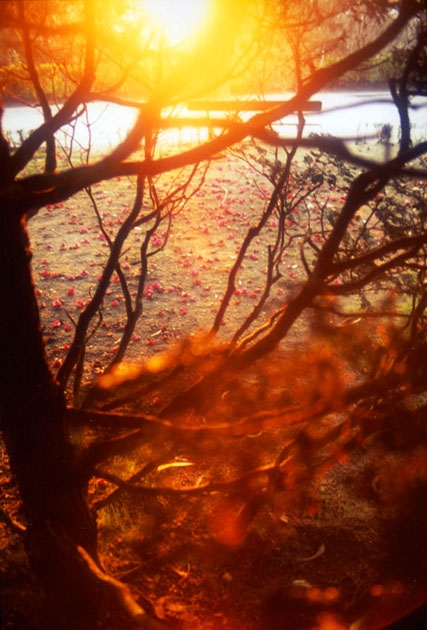 ??if?ゃ?＜?若?吾???泣?????ゃ?????с???障????