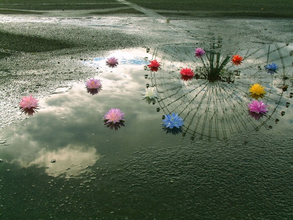 ??if?ゃ?＜?若?吾???泣?????ゃ?????с???障????