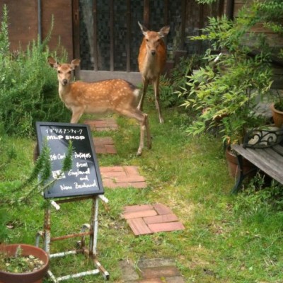 425430_2282684363879_1637172357_n